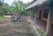Tanah beserta Rumah jawa polokarto sukoharjo