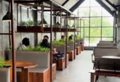 Jual Cafe belakang kampus UNS