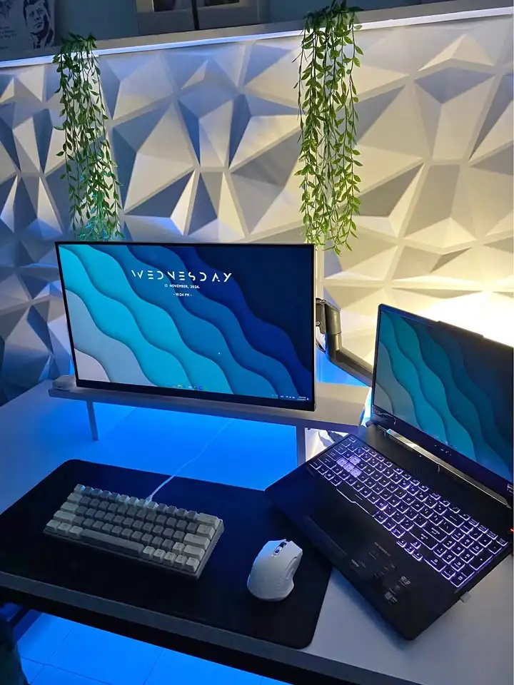 Monitor Samsung 24in 100hz + Bracket oximus