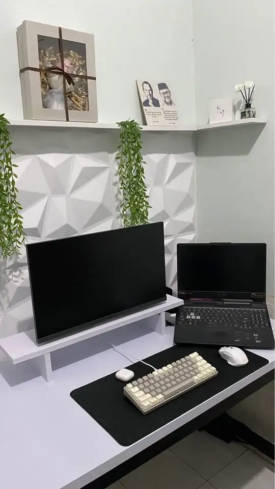 Monitor Samsung 24in 100hz + Bracket oximus