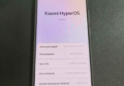 582439402_1605085170873435_2236842854211320146_n