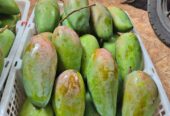 Mangga Kiojay Grosiran Balaraja