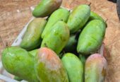 Mangga Kiojay Grosiran Balaraja