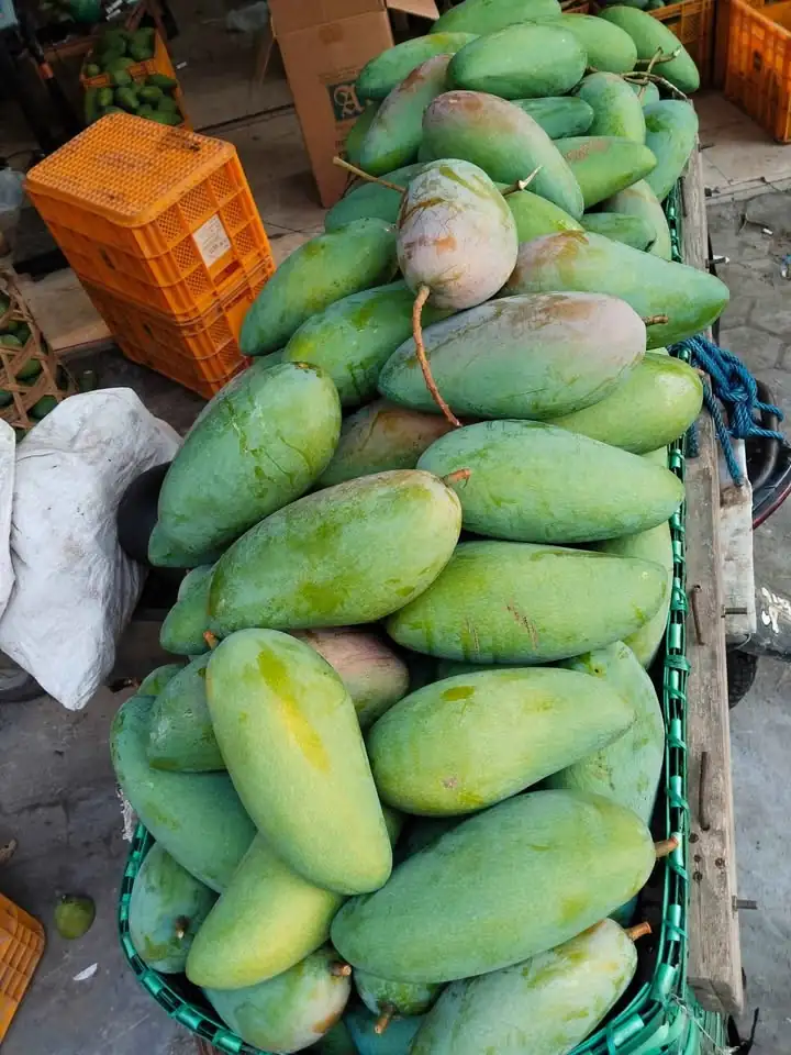Mangga Kiojay Grosiran Balaraja