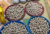 Bakso ayam mix sapi, urat, halus,full sapi, tahu bakso , adonan bakso