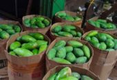 Mangga Kiojay Grosiran Balaraja