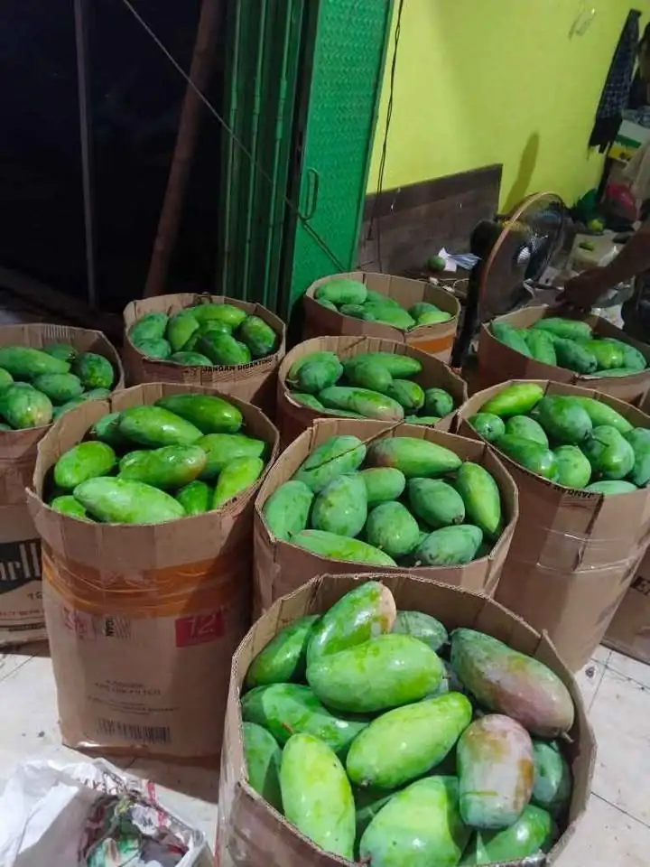 Mangga Kiojay Grosiran Balaraja