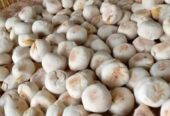 Monggo ready setiap hari bakpia basah.. rasa kacang ijo,keju, coklat