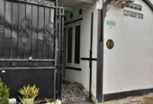 Rumah dikontrakan 3kt 1km dapur