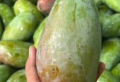 Mangga kiojay mengkal ready