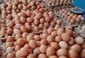Paketan sembako murah