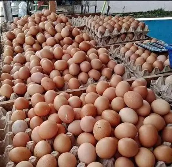 Paketan sembako murah