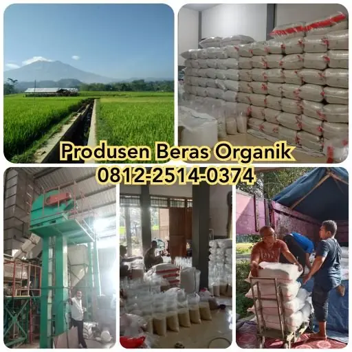Langsung Produsen ! Beras Organik Lengkap | Beras Hitam | Beras Merah