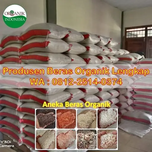 Langsung Produsen ! Beras Organik Lengkap | Beras Hitam | Beras Merah
