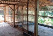 Lahan beserta kandang ayam