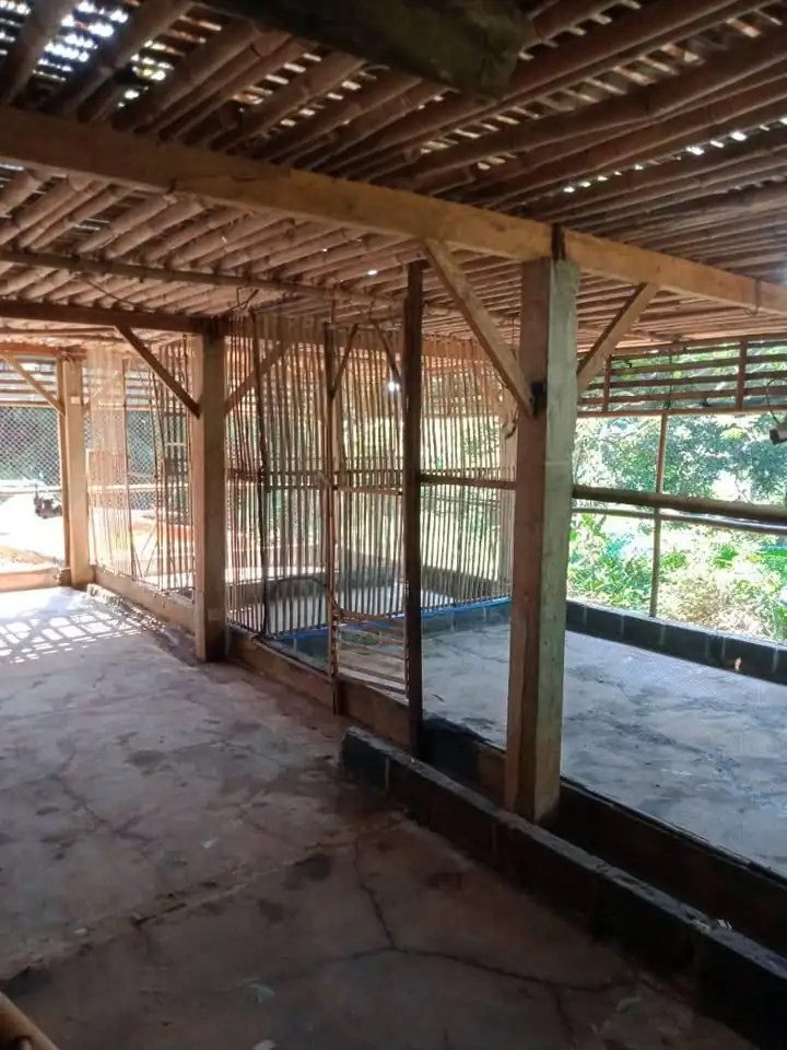 Lahan beserta kandang ayam