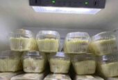 OPEN PO BANANA PUDING VIRAL