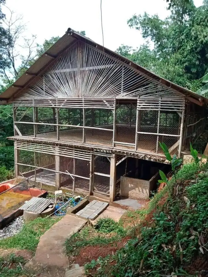 Lahan beserta kandang ayam