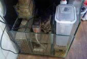 Aquarium air laut