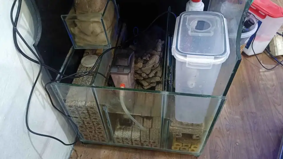 Aquarium air laut