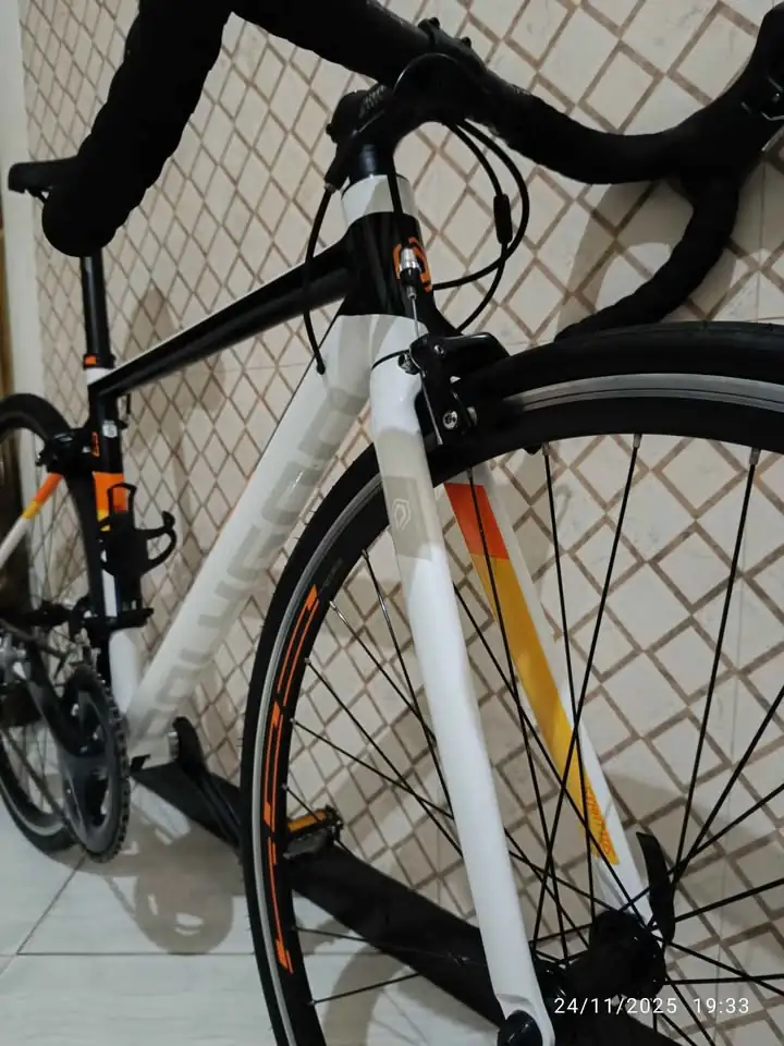 Sepeda Balap Polygon S3 German