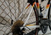 Sepeda Balap Polygon S3 German
