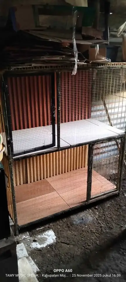 Kandang kucing tingkat besi