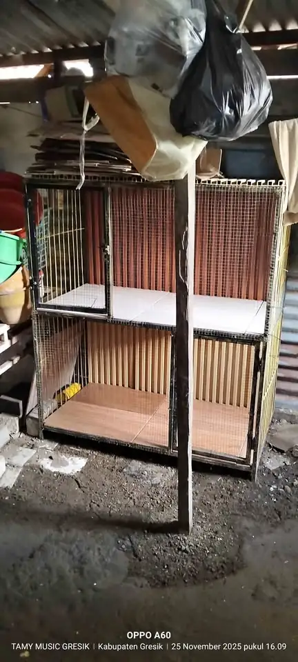 Kandang kucing tingkat besi