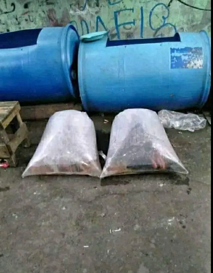 Bibit Nila Merah 65 / LITER