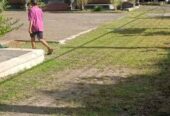 3 KT 2 KM – Dijual Rumah JOGLO Rp6,2 M