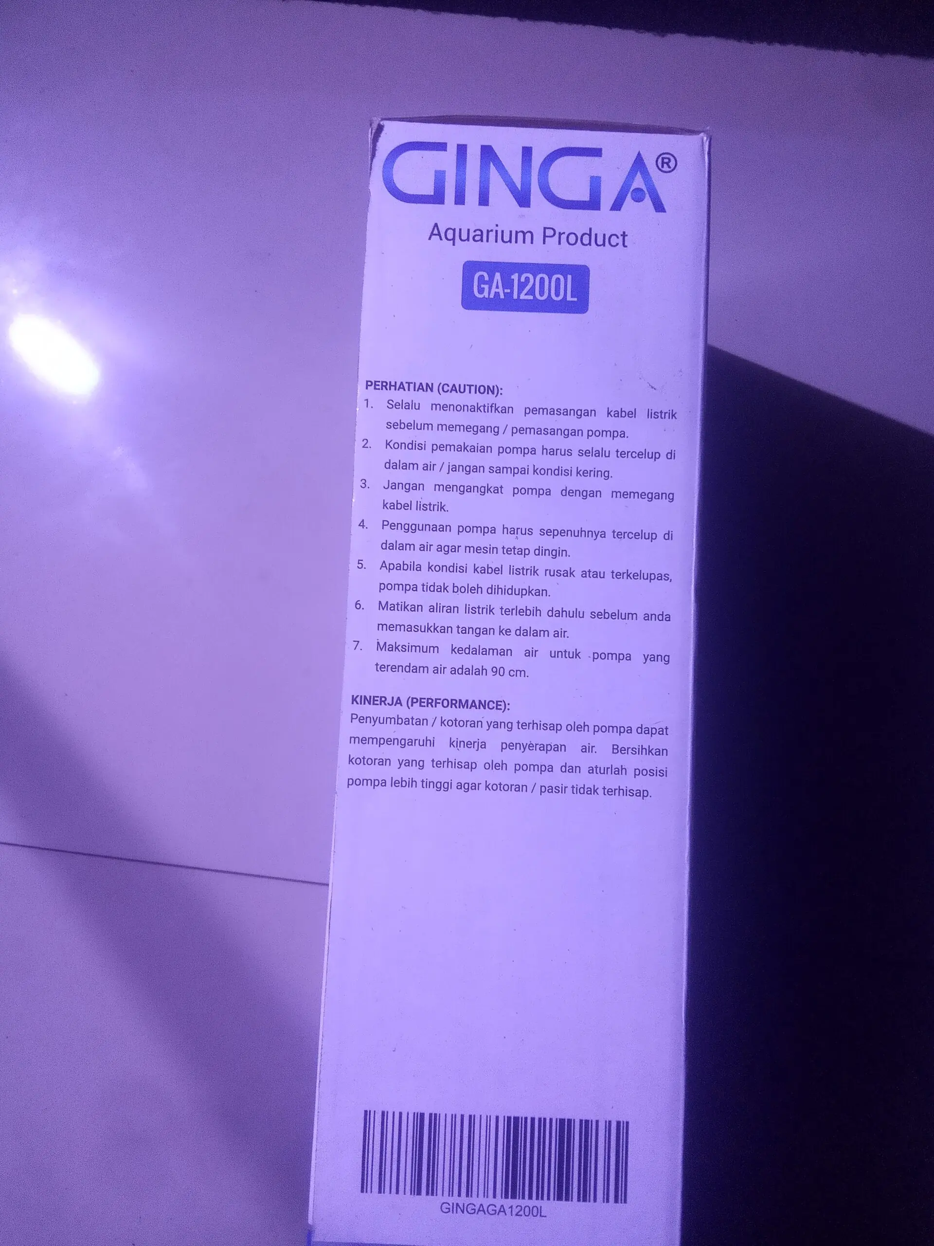 GINGA