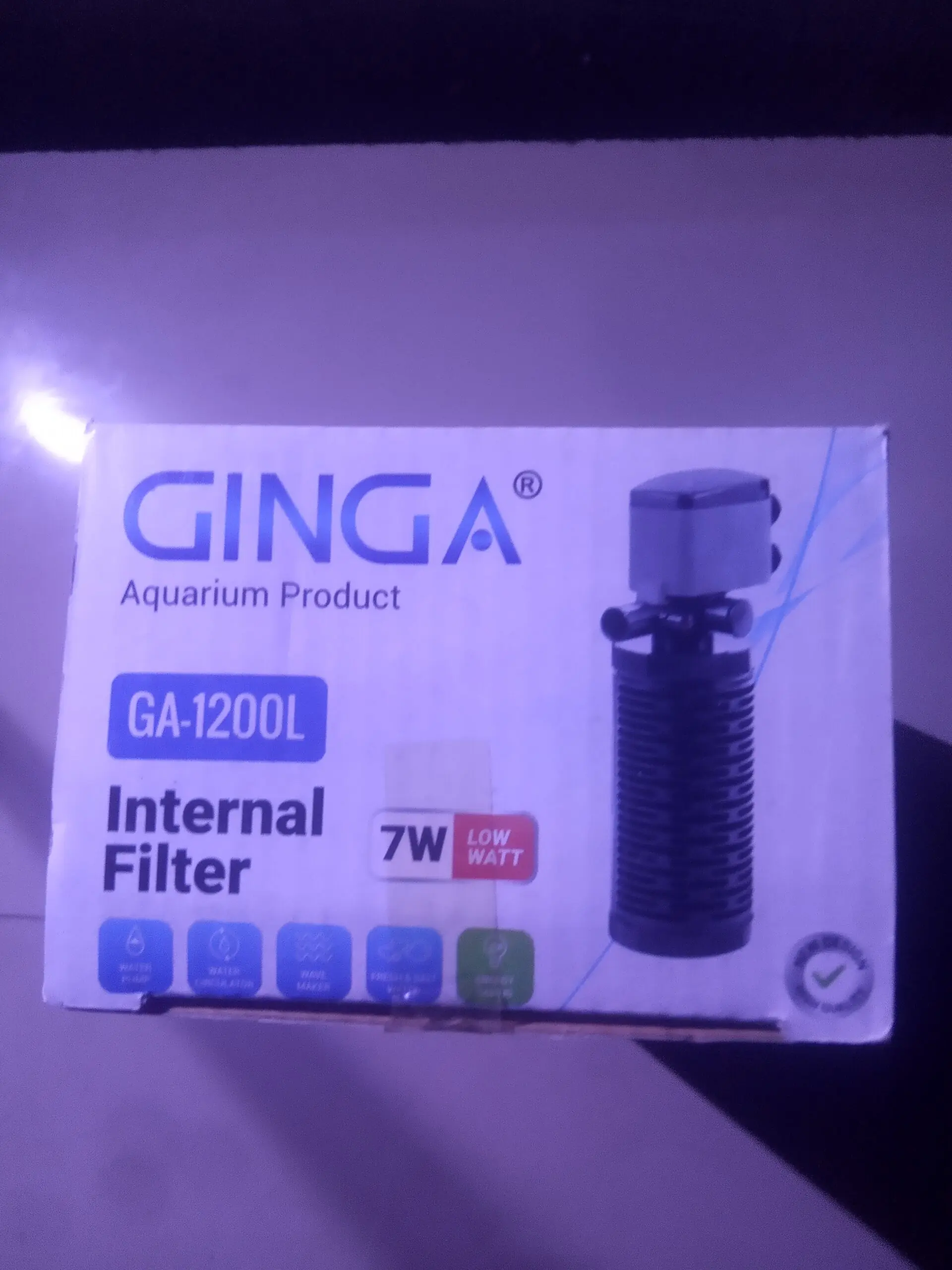 GINGA