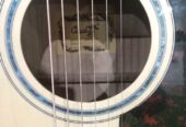 Murah Gitar Akustik Cowboy GWC 360 NT