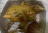 Bebek, entok, ayam merah, ayam kampung, ayam potong, sosis solo, lumpi