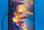 Monitor LED 23 inch dell Framless Hdmi bisa potrait