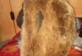 wig kera / monyet