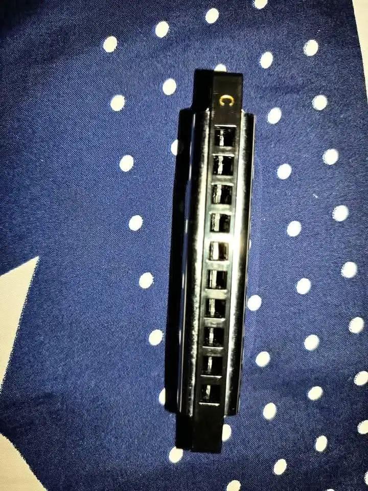Harmonika swan Cowboy 10 Hole n.d C