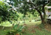 1 KT 2 KM – Rumah + Kebun
