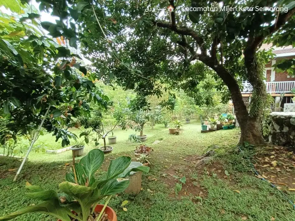 1 KT 2 KM – Rumah + Kebun