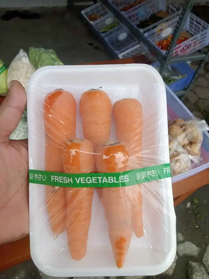 DIJUAL SAYURAN KEMASAN 10k dapat 3 pack