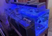 Jual Aquarium Laut Full Set