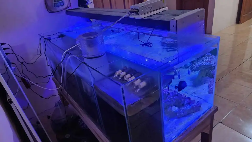 Jual Aquarium Laut Full Set