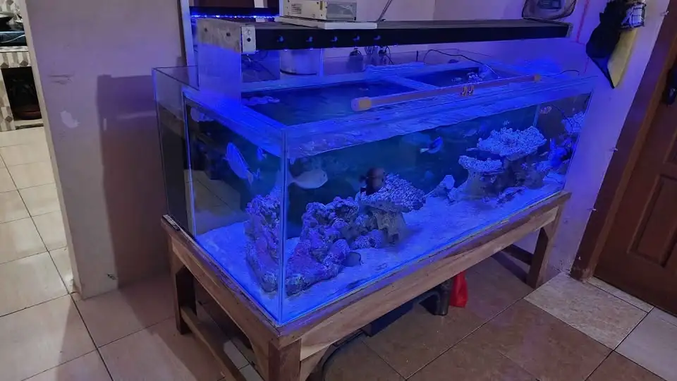 Jual Aquarium Laut Full Set