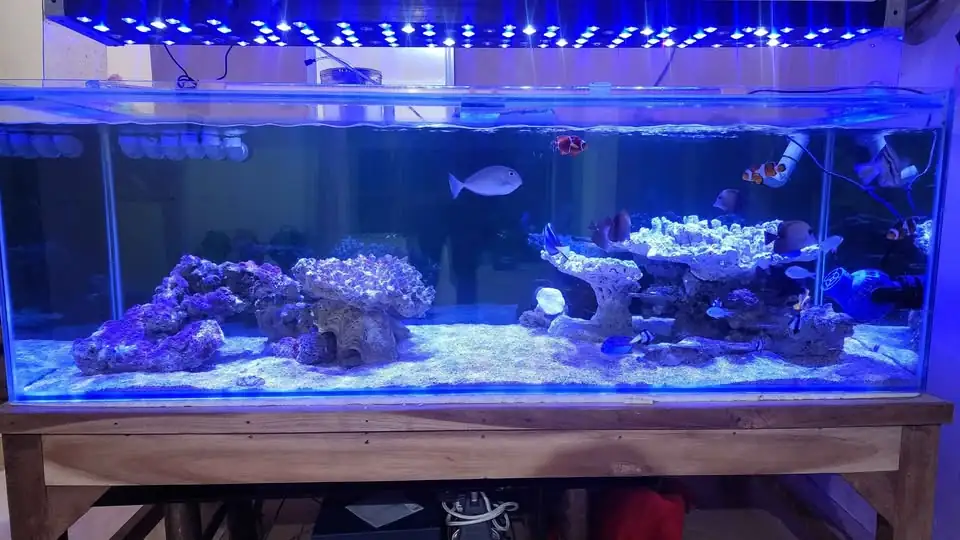 Jual Aquarium Laut Full Set
