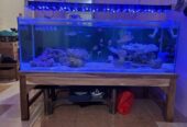 Jual Aquarium Laut Full Set