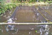 Keramba Ikan/hapa ikan Jaring Kasa Hijau siap pakai