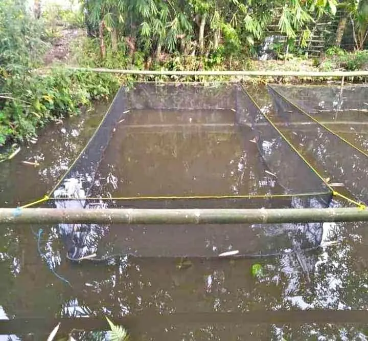 Keramba Ikan/hapa ikan Jaring Kasa Hijau siap pakai