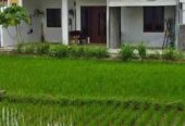 Dikontrakan cepat rumah dicondongcatur 3 KT 2 KM