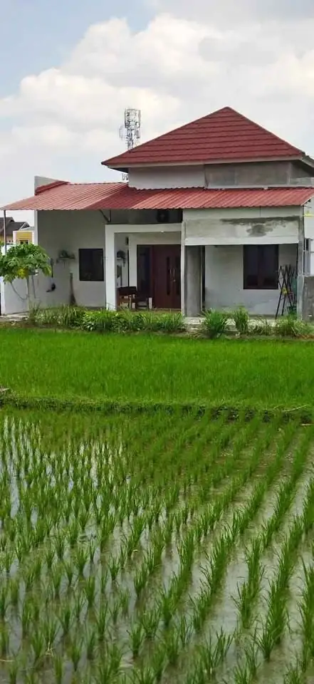 Dikontrakan cepat rumah dicondongcatur 3 KT 2 KM