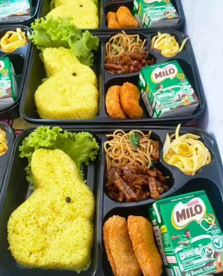 Nasi kuning bento/ nasi bento chicken